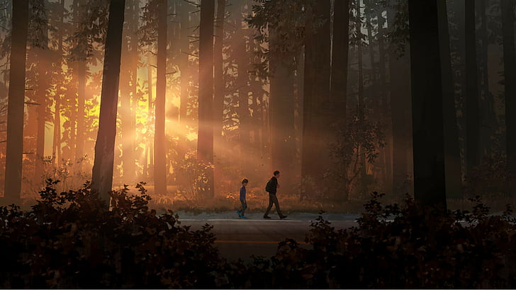 Life is Strange 2 pic